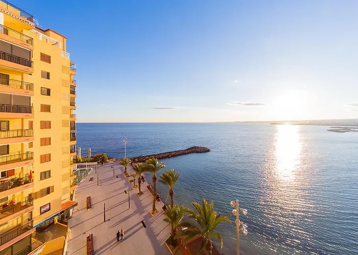 Apartman Alegria Id114 Torrevieja